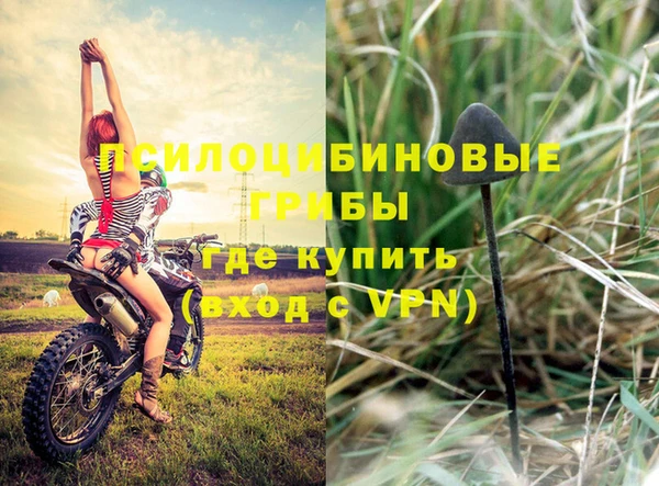 прущая мука Абдулино
