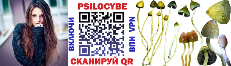 Галлюциногенные грибы Psilocybine cubensis  Покачи 
